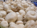 Mushrooms