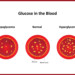Testing your blood sugars may be a little scary, but it is not hard.