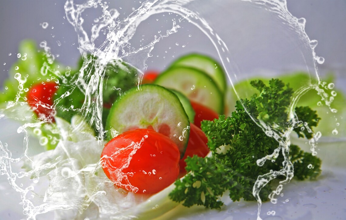 Vegetarian Friendly Diets