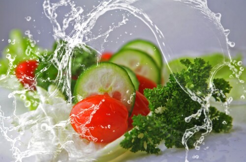 Vegetarian Friendly Diets