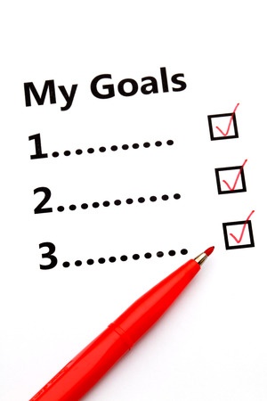 Goal Check List