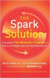 The Spark Solution book