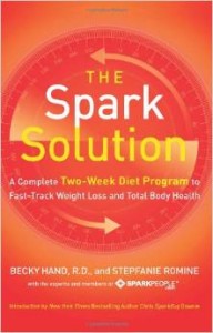 The Spark Solution Book Review