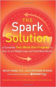 The Spark Solution Book Review