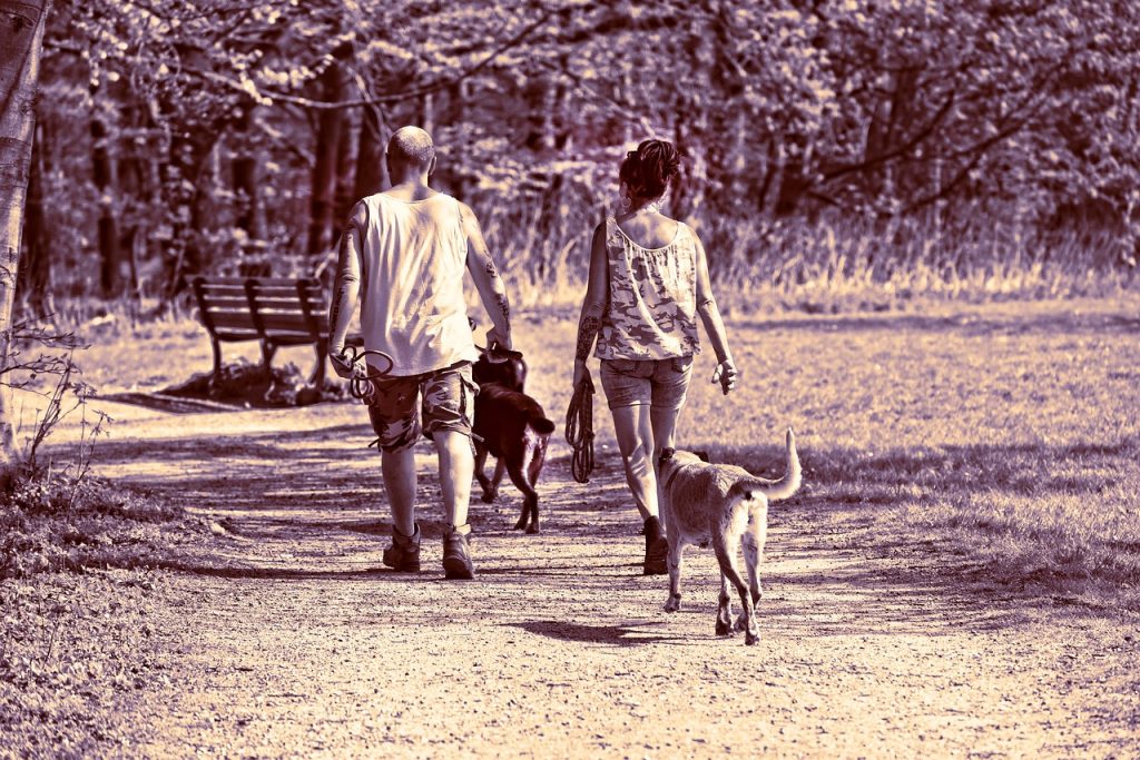 Walking for Health